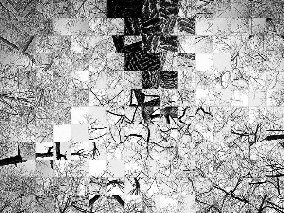 /the-art-of-quantum-data-version-11-5q1v366s feature image