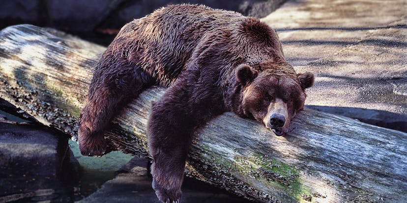 /is-hibernate-really-worth-it-3m9g42exo feature image