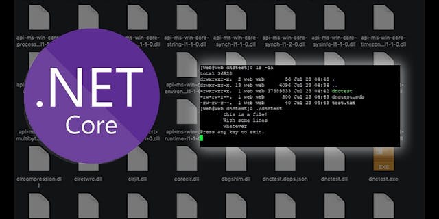/creating-trimmed-self-contained-executables-in-net-core-hm52a38qy feature image