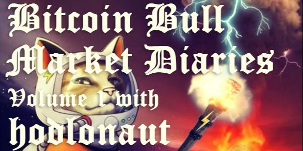 featured image - Bitcoin Bull Market Diaries Volume 1 with Hodlonaut