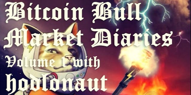 /bitcoin-bull-market-diaries-volume-1-with-hodlonaut-ut1a643row feature image
