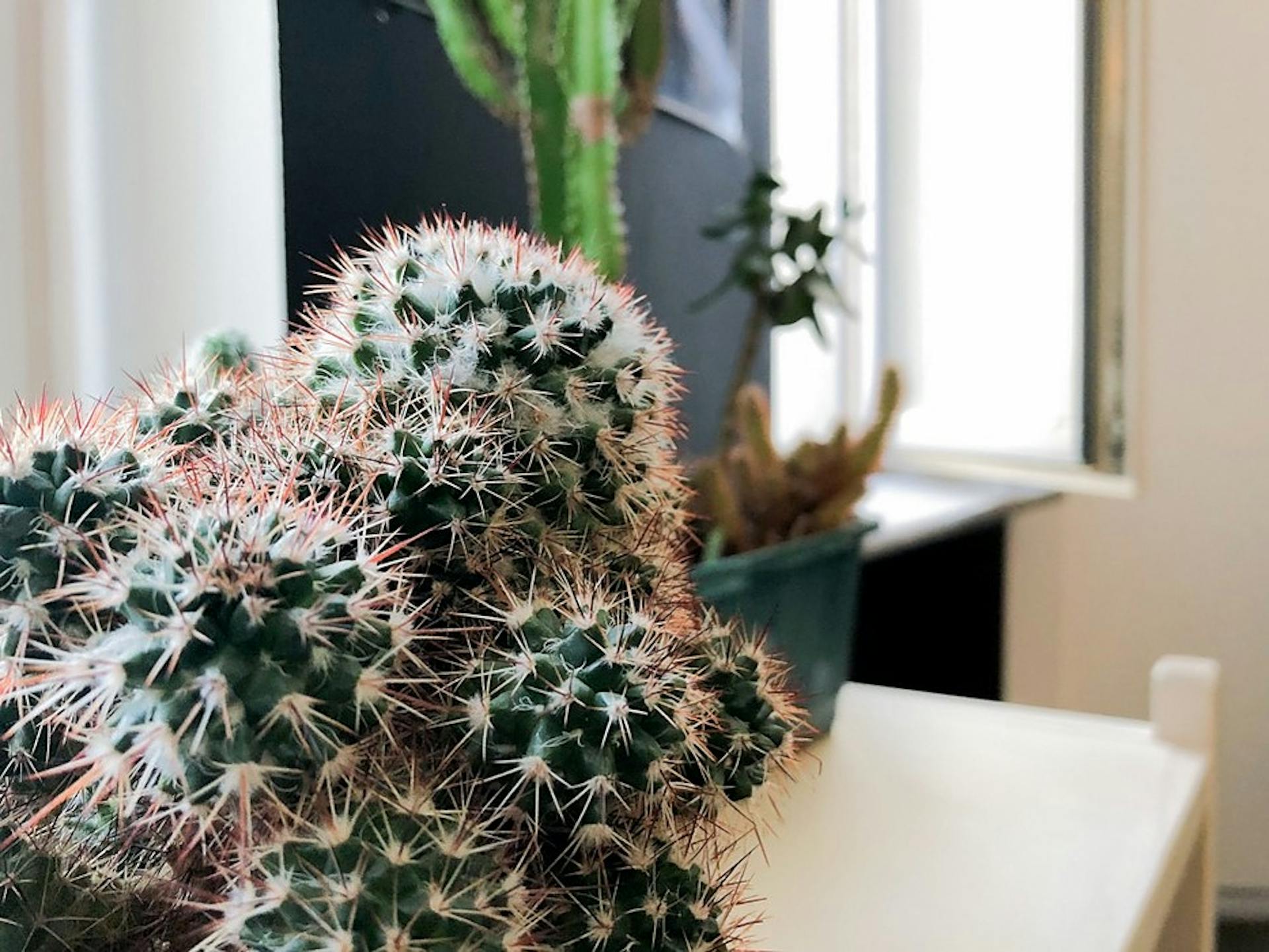 featured image - Android vs iOS: Which Platform to Build Your App for First Is Better?