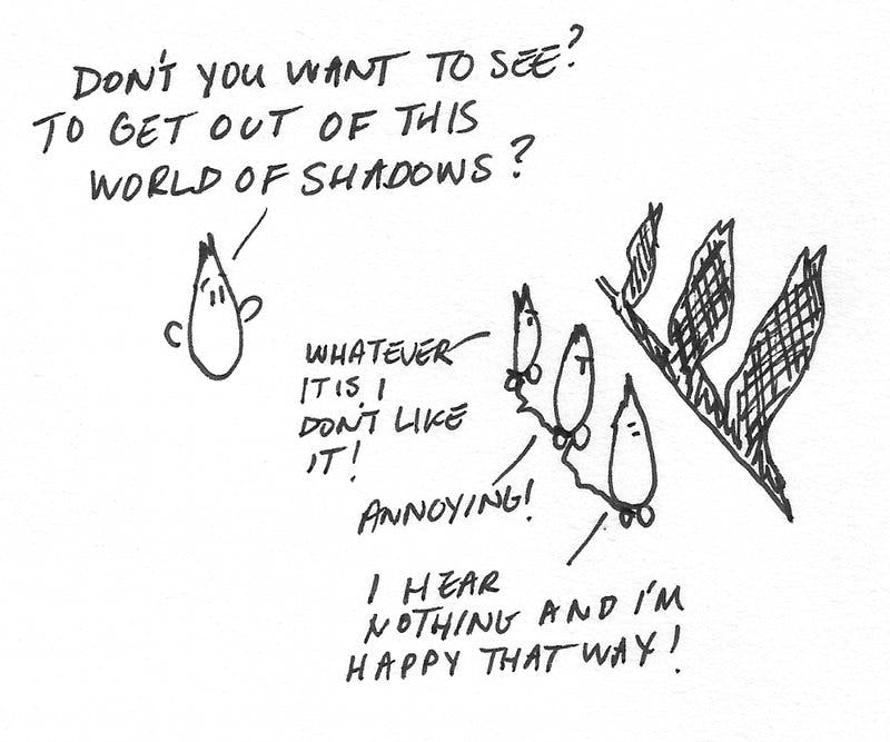 /chief-reality-officers-who-are-they-and-why-do-we-need-them-o32n32bz feature image