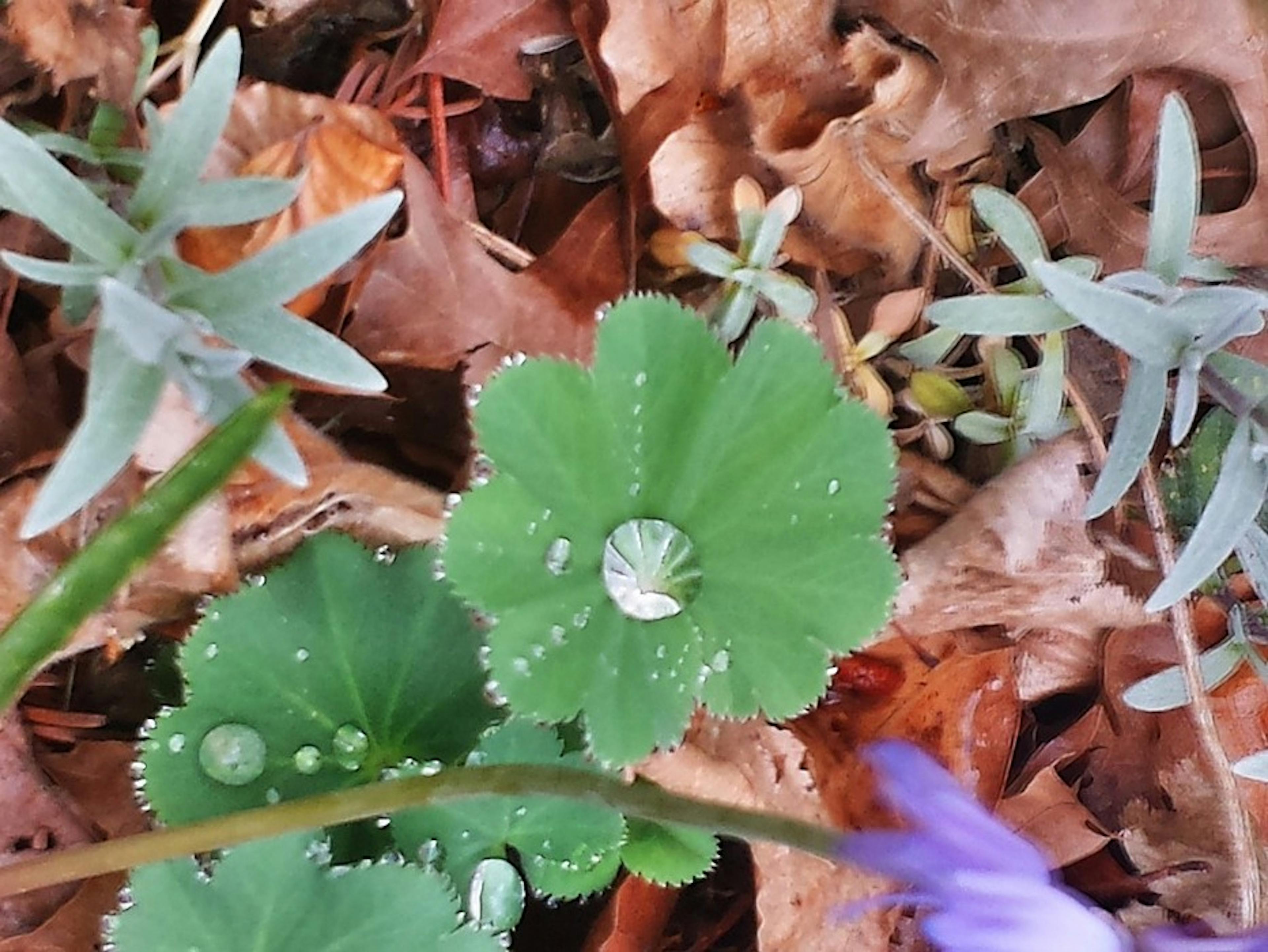 React + Express + Typescript Boilerplate with Performance and Extended Functionality