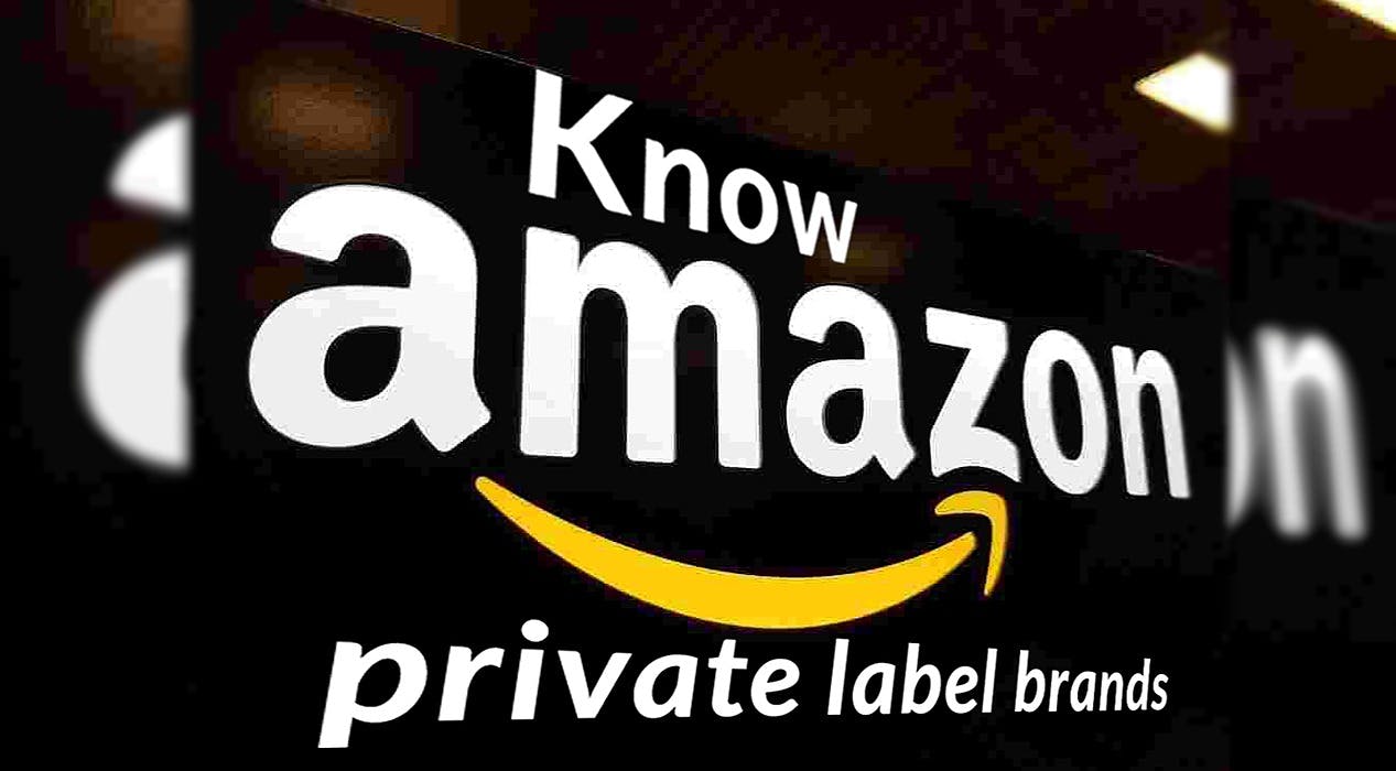 /why-there-is-a-rise-of-amazon-private-label-brands-in-2019-c31b3zhg feature image
