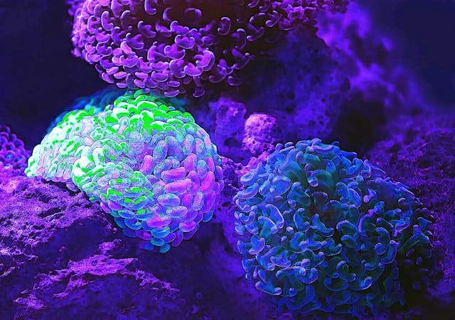 /heres-why-bioethics-are-meant-to-be-surpassed-px4g36gx feature image