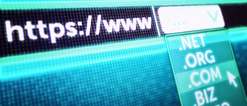 /businesses-have-countless-web-hosting-options-heres-what-they-are-ac2h3yh0 feature image