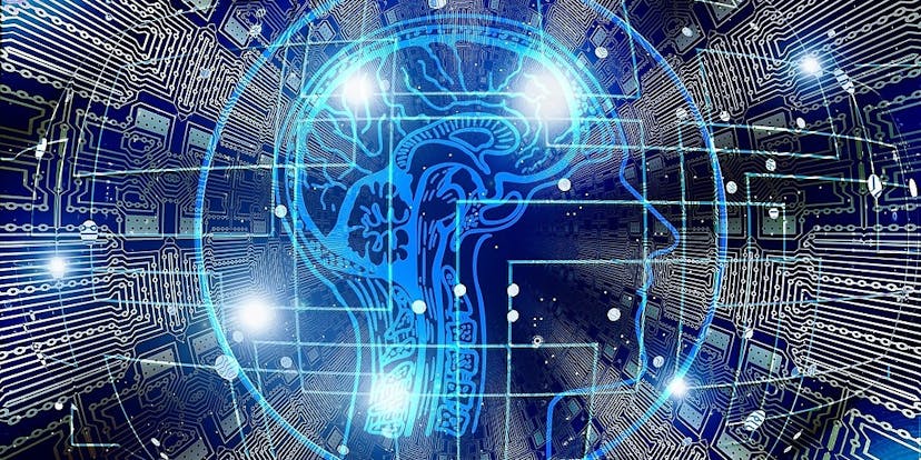 /behavior-vs-mechanical-how-to-evaluate-cryptocurrencies-0f1th3487 feature image
