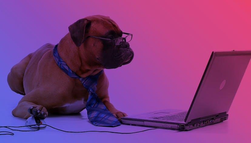 /no-bullsh-guide-to-start-a-money-making-blog-in-10-minutes-nf463yx5 feature image