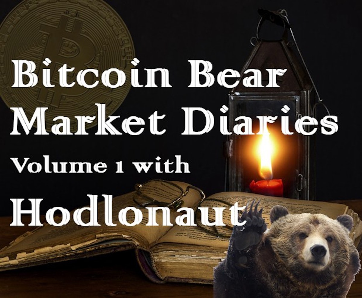 featured image - Bitcoin Bear Market Diaries Volume 1 with Hodlonaut