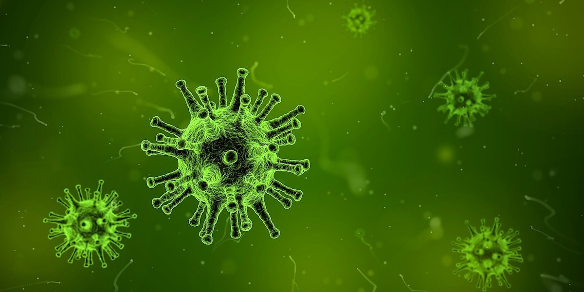 featured image - Libra: The Ideavirus