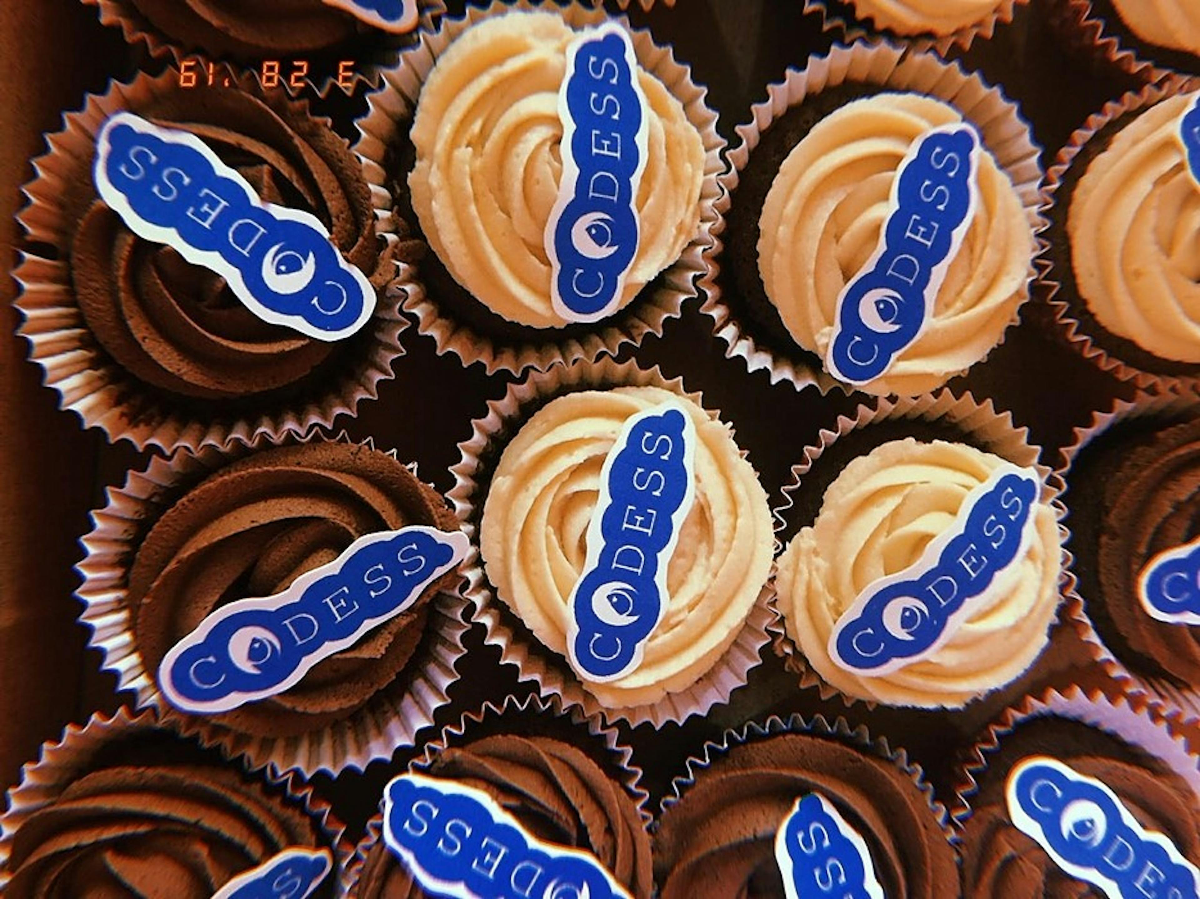 /introducing-microsoft-codess-programm-community-for-female-developers-atc736gs feature image