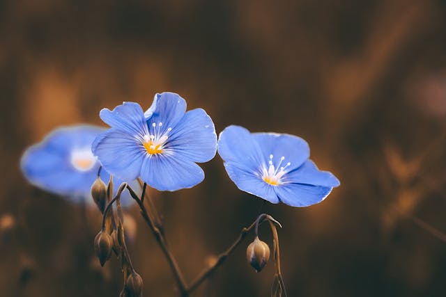 /flax-googles-open-source-approach-to-flexibility-in-machine-learning-iw9y324j feature image