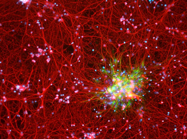 /ai-and-the-consciousness-gap-tr9f3ydz feature image