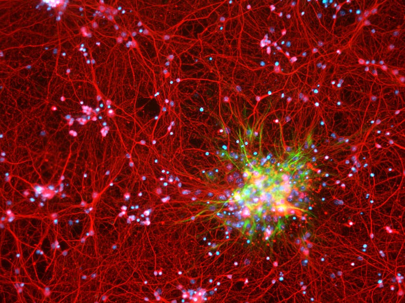 /ai-and-the-consciousness-gap-tr9f3ydz feature image