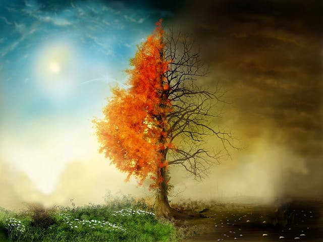 /bounty-campaigns-from-life-to-death-h72c3x35 feature image