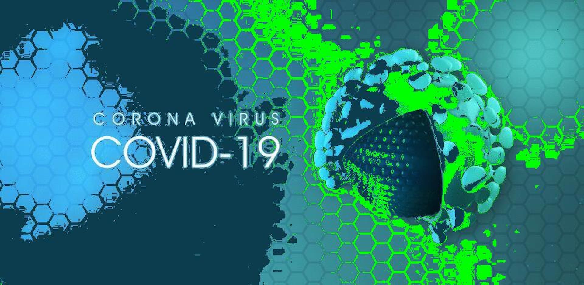 featured image - Common Sense for Companies During The COVID-19 Pandemic