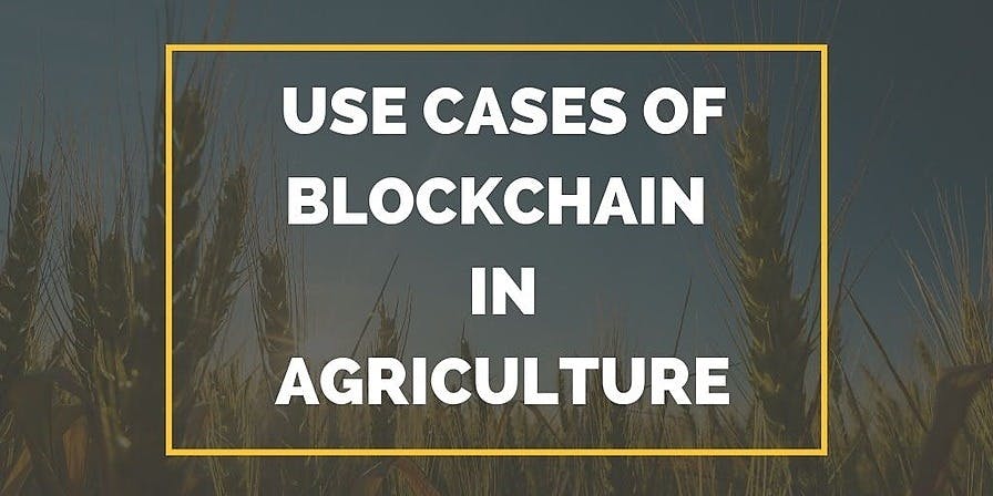 featured image - Exploring Blockchain Use Cases in Solving Agricultural Distress