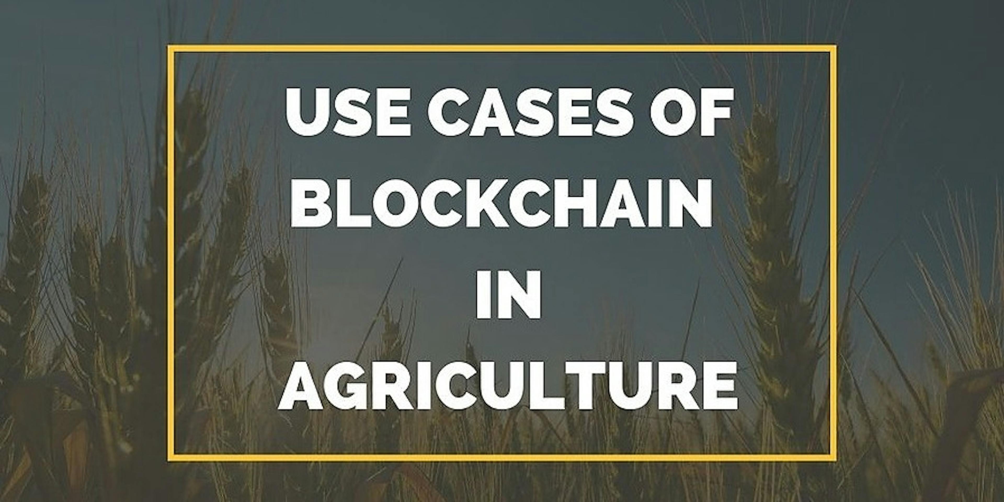 /why-agriculture-industry-needs-to-join-the-blockchain-club-xn28d31zi feature image