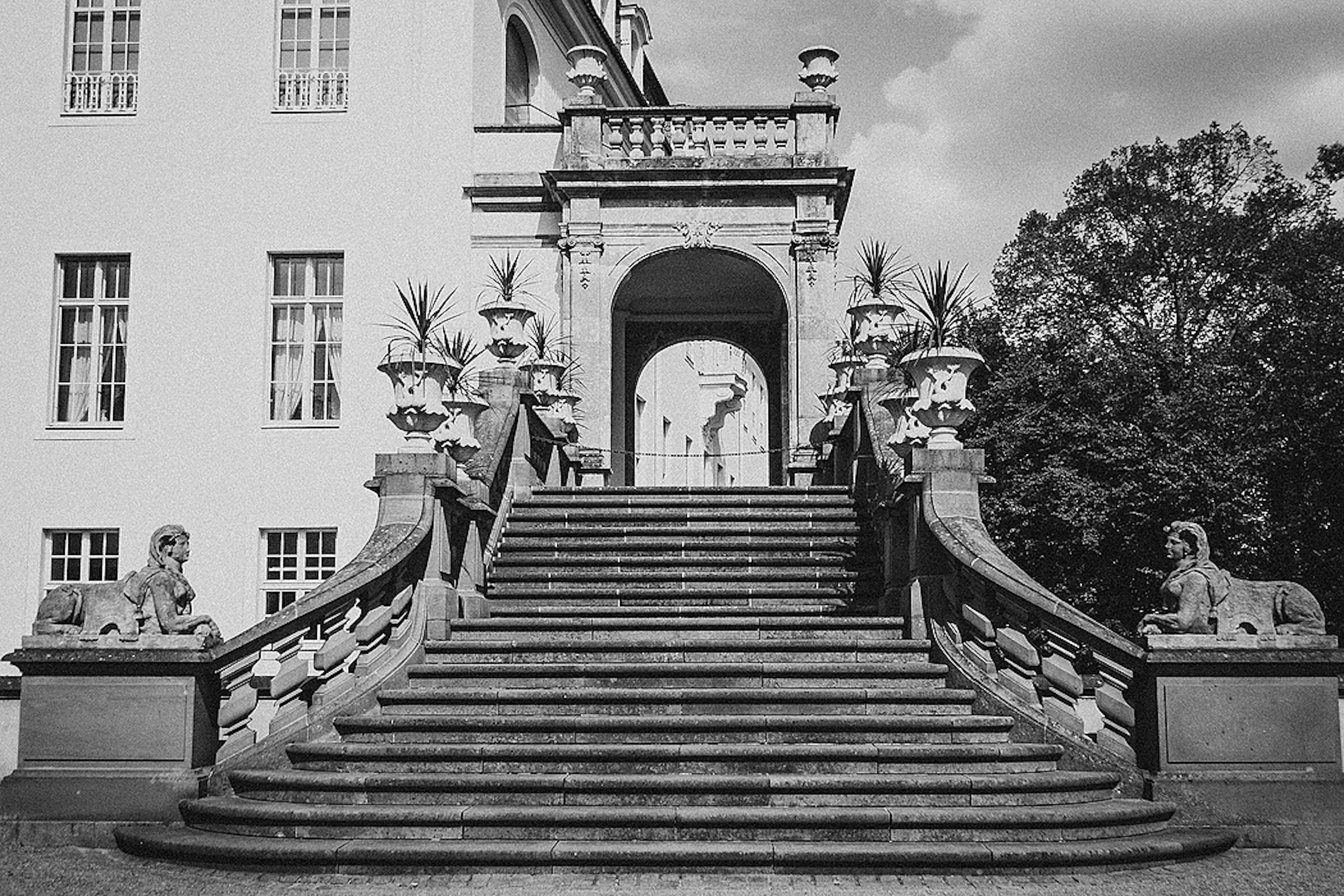 /the-great-polarisation-1i1j3ui8 feature image