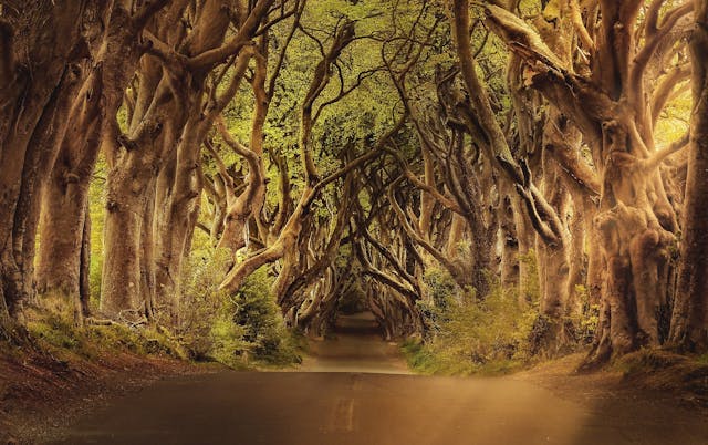 /clojurescript-macros-a-not-very-long-journey-part-i-ljf332ie feature image