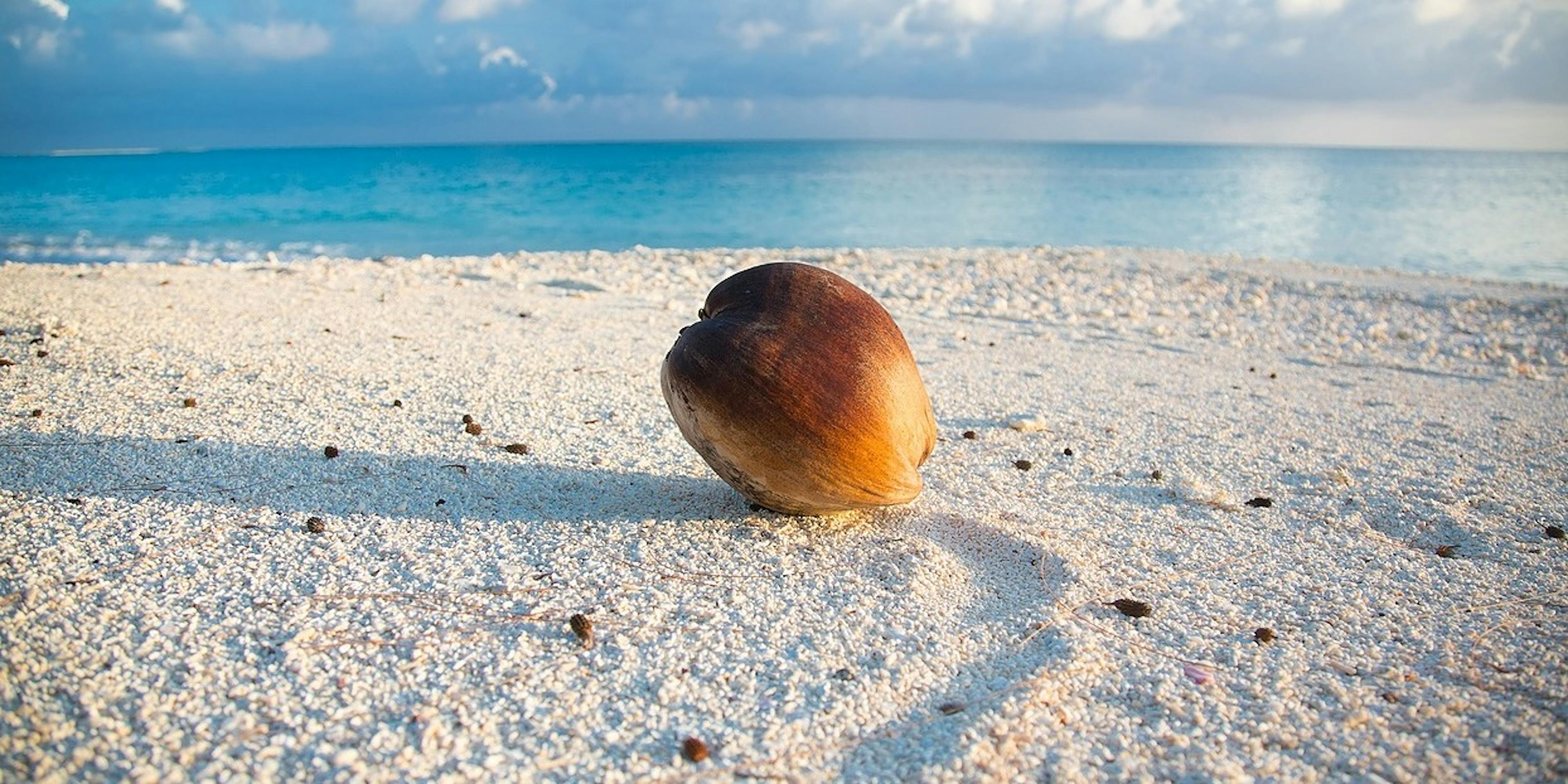 featured image - The very first state crypto can happen anytime soon in a place you probably never heard of