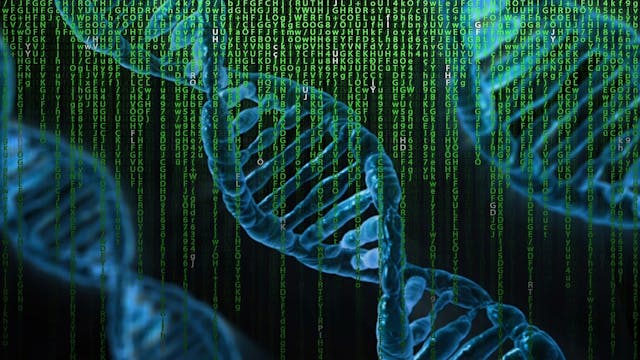/genetic-algorithms-explained-a-python-implementation-sd4w374i feature image