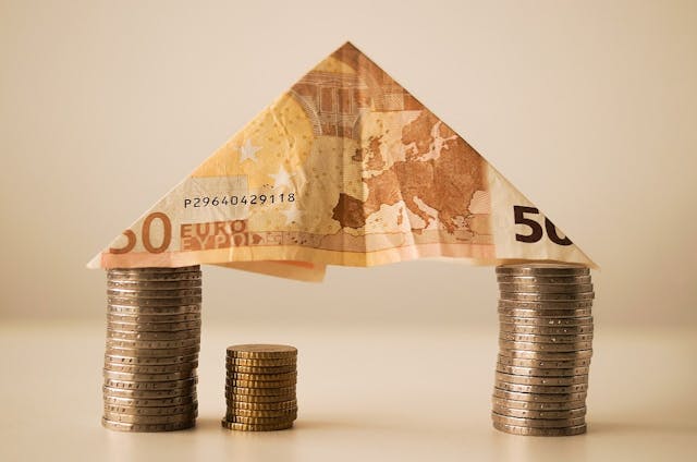 /seeking-venture-how-to-boost-the-appeal-of-your-business-for-venture-capital-firms-o83t32cw feature image
