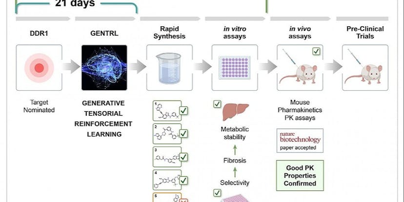 /ai-designed-a-drug-treatment-from-start-to-validation-in-mice-in-less-than-a-month-b96zm3sn3 feature image