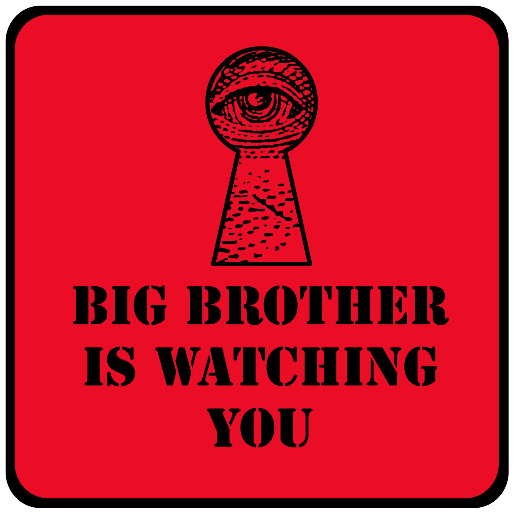 featured image - Big Brother Meets Black Mirror in the Middle Kingdom