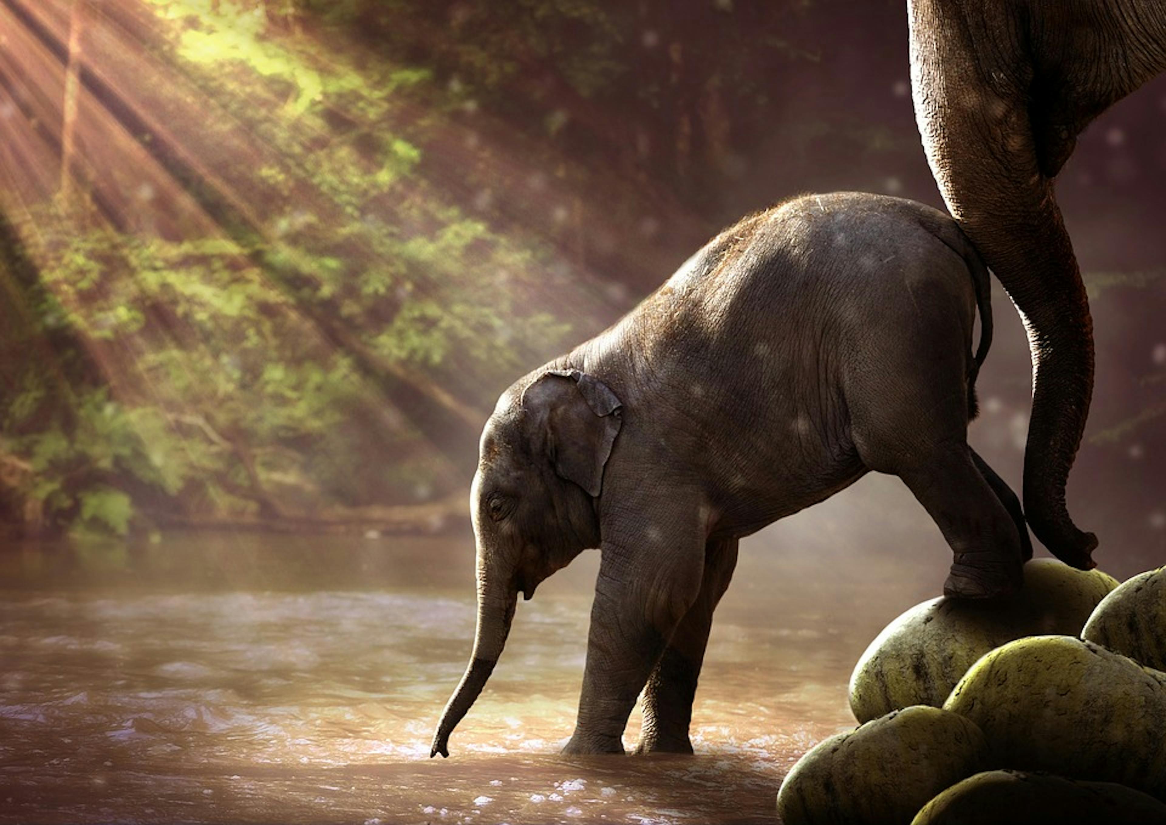 Six Crucial Startup Lessons I Would Share With My Younger Self