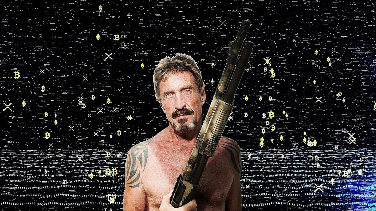 featured image - Interviewing The Wild: John McAfee Talks