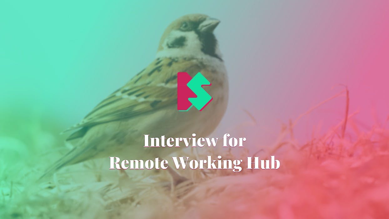 /interview-for-remote-working-hub-js3o3d6k feature image