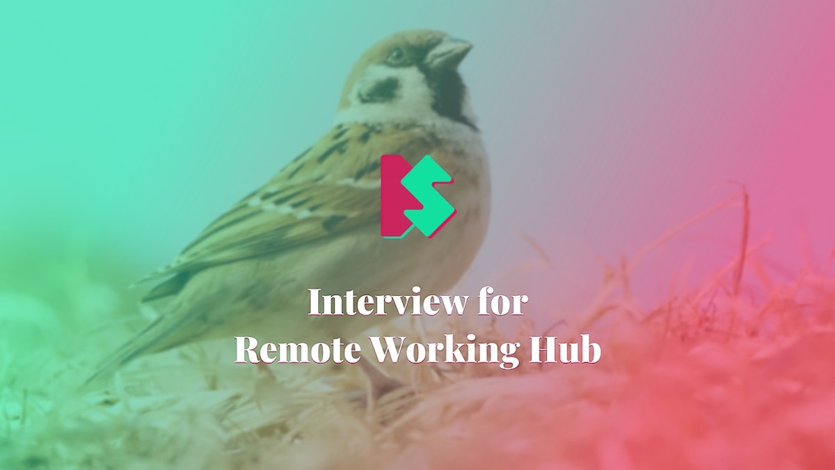 featured image - Interview For Remote Working Hub With Silvestar Bistrović