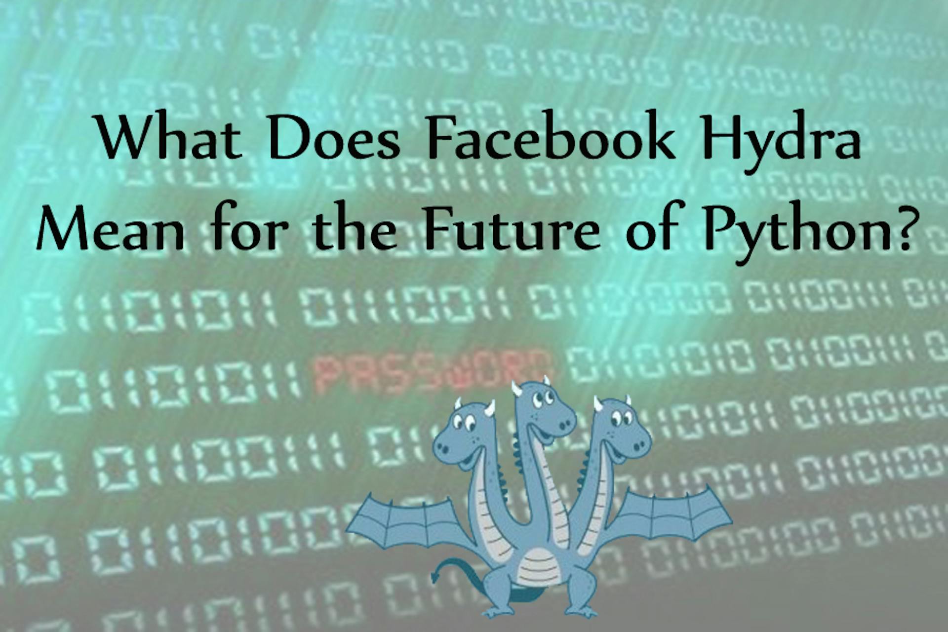 featured image - What Does Facebook Hydra Mean For The Future of Python