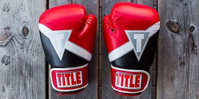 /business-reputation-can-take-a-punch-0q19f3jcp feature image