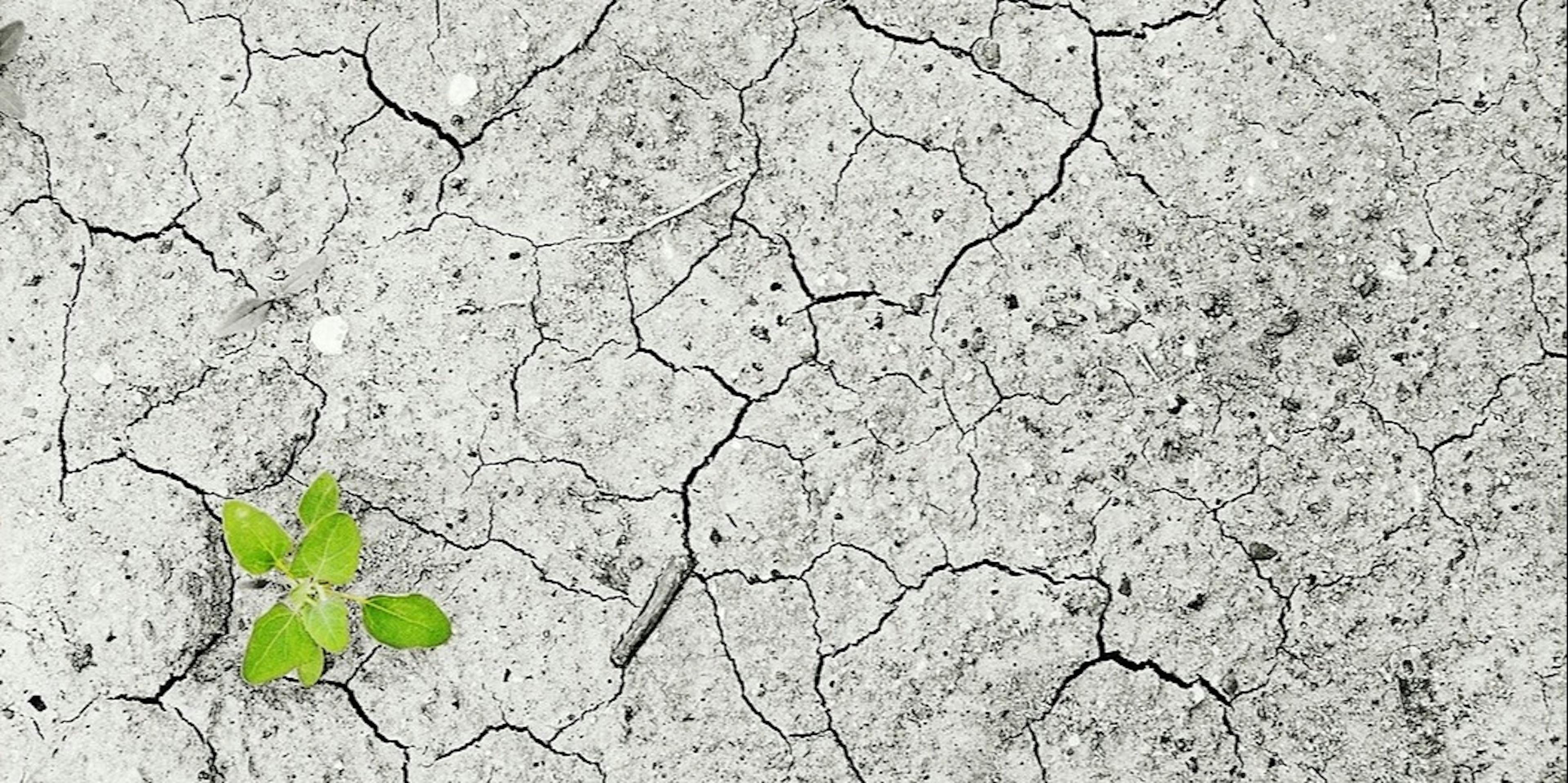 /what-post-scarcity-means-7c4d653418f4 feature image