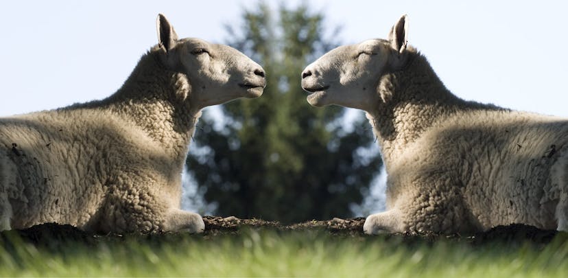 /i-cloned-a-youtube-page-to-learn-html-and-css-and-it-was-awesome-1wm43xt9 feature image