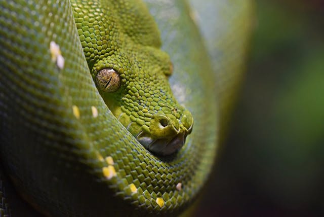 /how-to-use-aes-256-cipher-python-cryptography-examples-6tbh37cr feature image