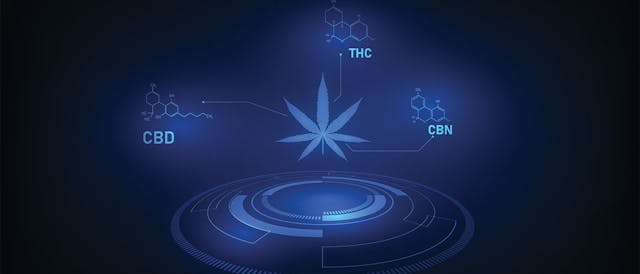 /could-cannatech-see-better-outcomes-with-the-use-of-blockchain-technology-xz7x32nd feature image