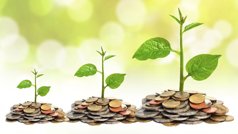 /6-key-strategies-to-investing-in-cryptocurrency-and-stocks-like-a-boss-cq1430vz feature image