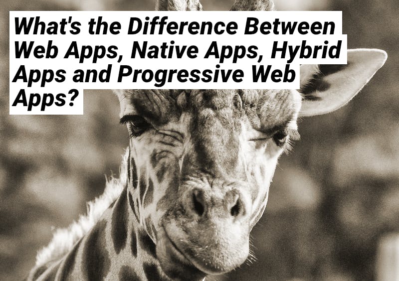featured image - What is the Difference Between Web Apps, Native Apps, Hybrid Apps and Progressive Web Apps?