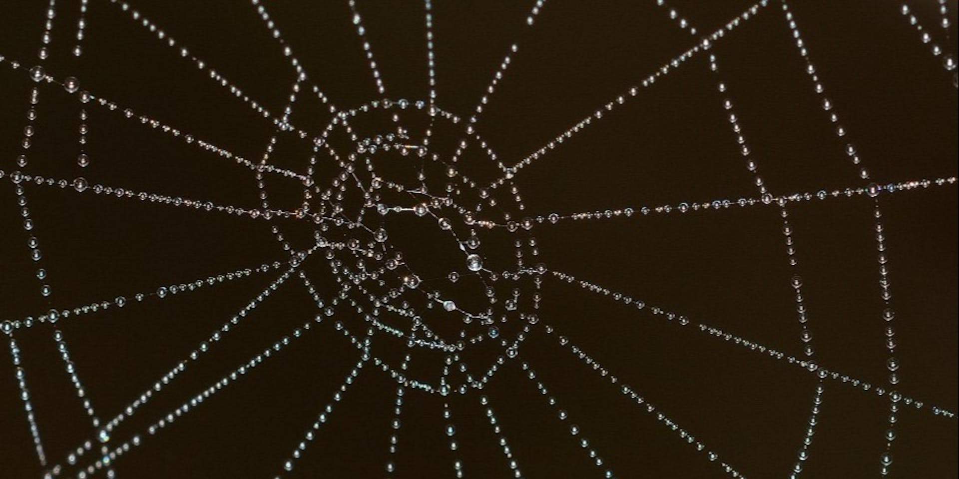 featured image - Domain Name System (DNS): Untangling the Key Aspects