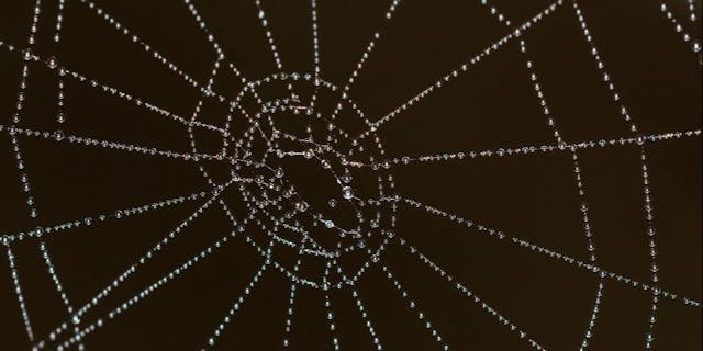 /domain-name-system-dns-untangling-the-key-aspects-8rv53z2i feature image