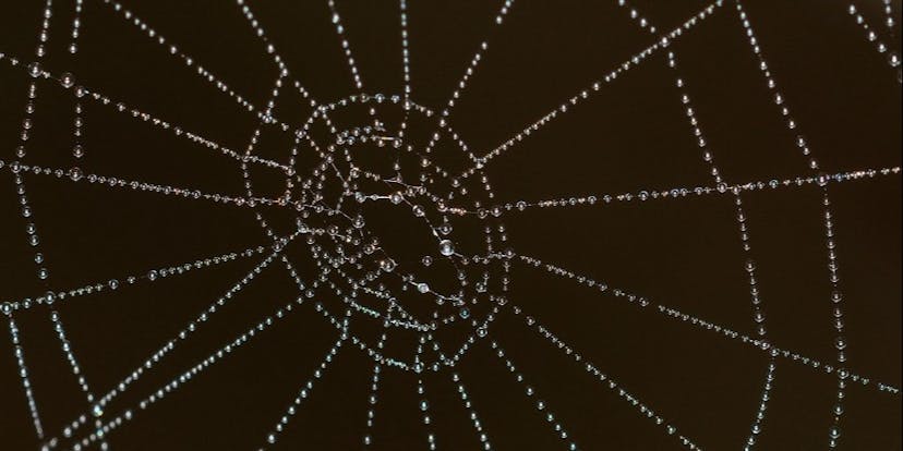 /domain-name-system-dns-untangling-the-key-aspects-8rv53z2i feature image