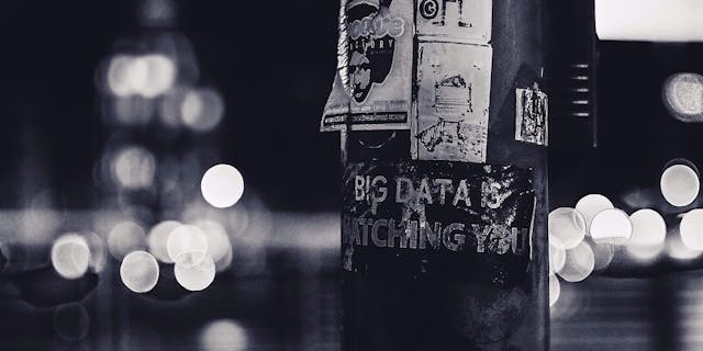 /how-to-build-a-data-savvy-brand-kk6i33at4 feature image
