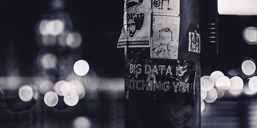 /how-to-build-a-data-savvy-brand-kk6i33at4 feature image