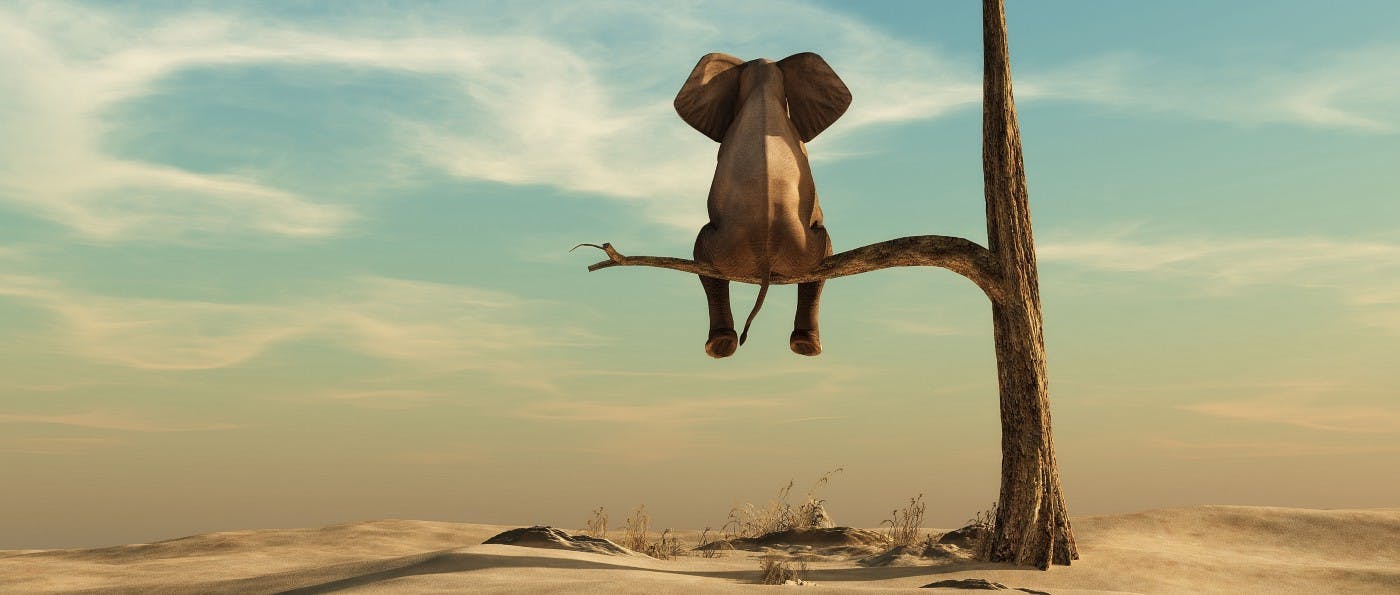 featured image - What Happened to Hadoop? What Should You Do Now?