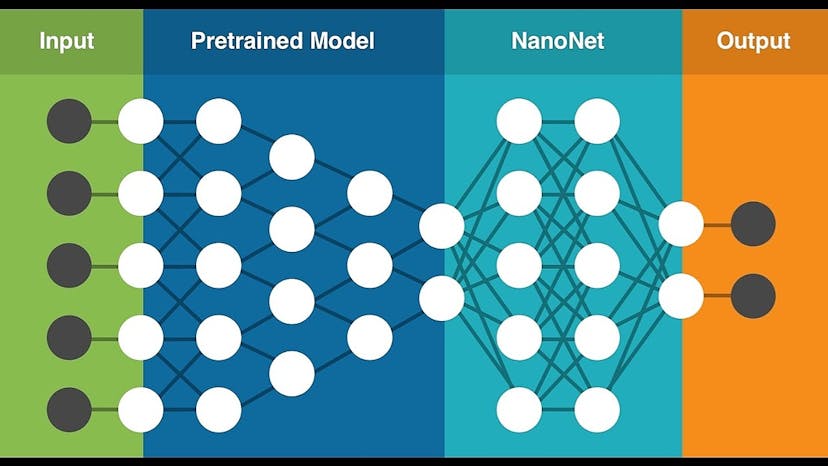 /approach-pre-trained-deep-learning-models-with-caution-tl5d320v feature image
