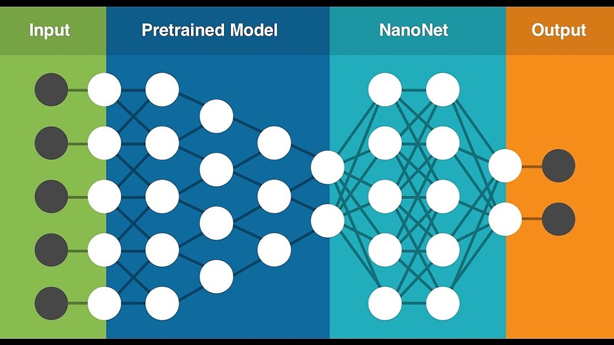 featured image - Approach Pre-Trained Deep Learning Models With Caution 